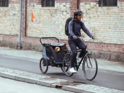 Thule Courier Kinderanhänger -Bike Verkauf 451014