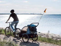 Thule Courier Kinderanhänger -Bike Verkauf 451018