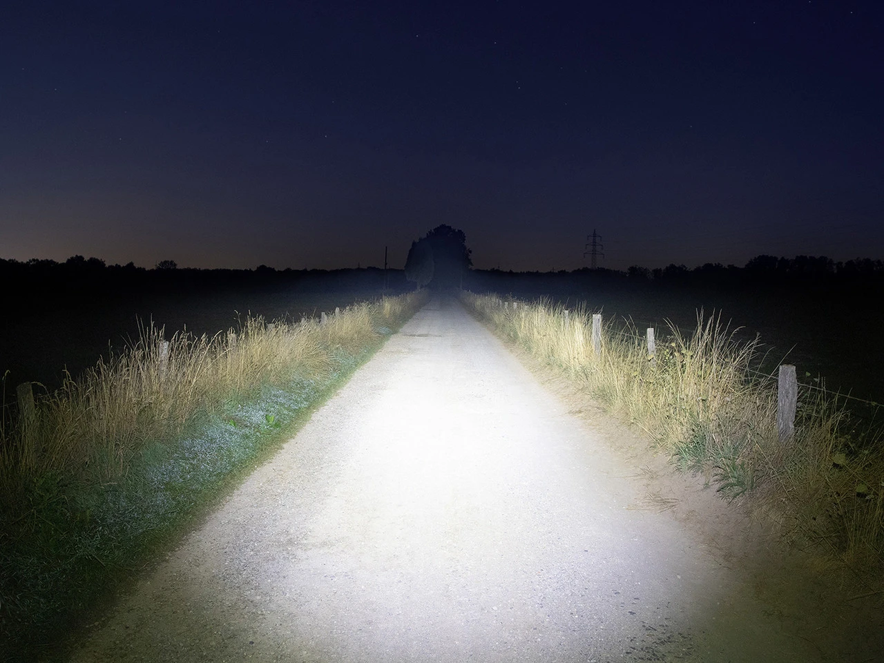 Lupine Blika Lampenkopf 10 Lupine Blika Lampenkopf - Image 8